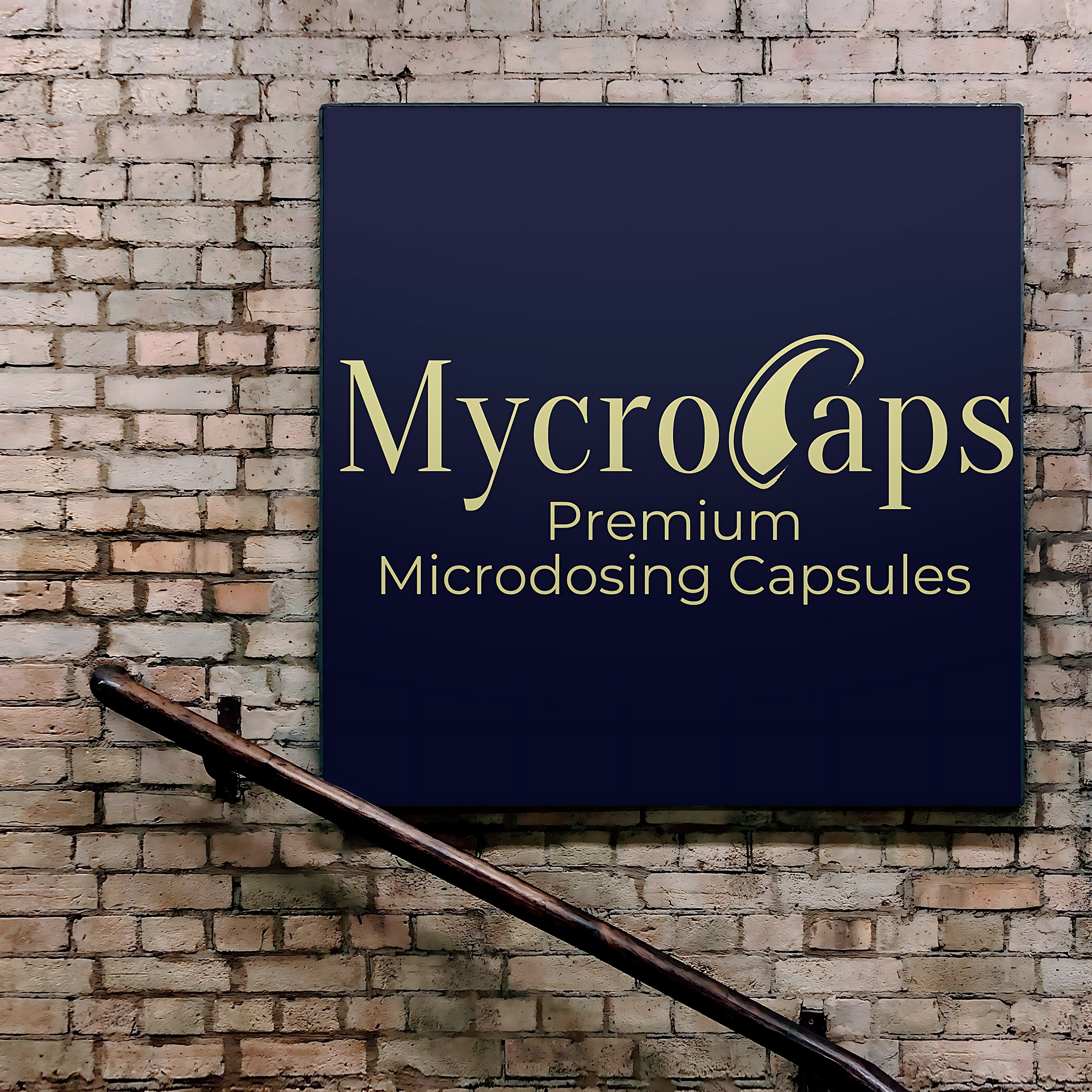 aily Microdosing Formula for Focus, Mood, and Energy